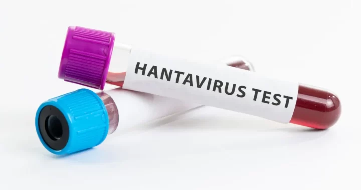 Confirman casos de hantavirus en Brasil y crece la preocupación en la frontera con Misiones