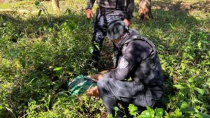 Detuvieron en Eldorado a “Gina”, acusado de robos