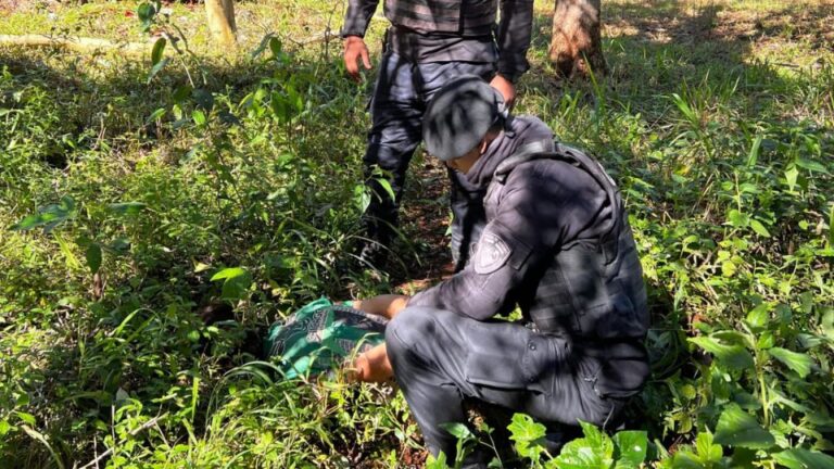 Detuvieron en Eldorado a “Gina”, acusado de robos