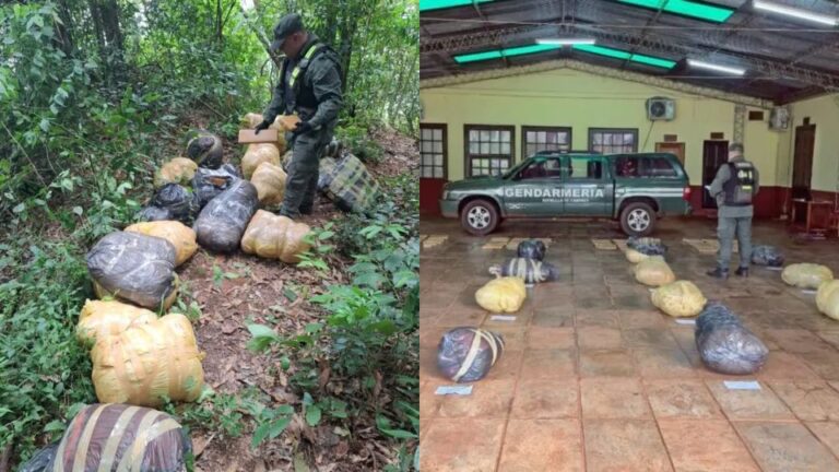 Gendarmería secuestró casi 190 kilos de marihuana ocultos en una zona de monte en Eldorado