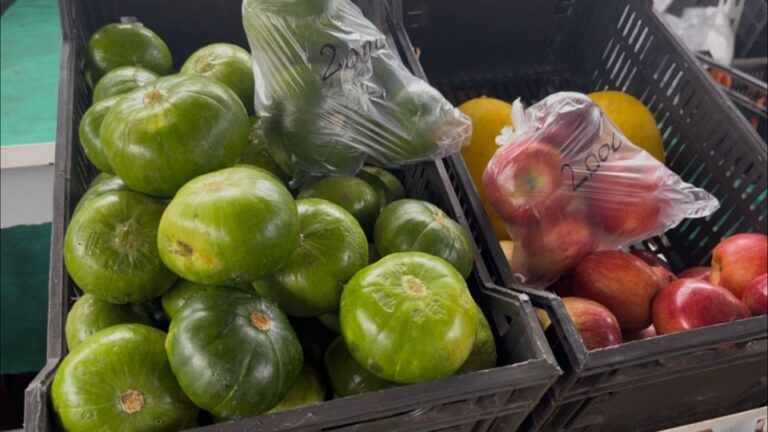 el Mercado Concentrador de Eldorado ofrece calidad y precios que cuidan el bolsillo