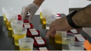 Misiones implementará exámenes toxicológicos obligatorios para funcionarios y fuerzas de seguridad