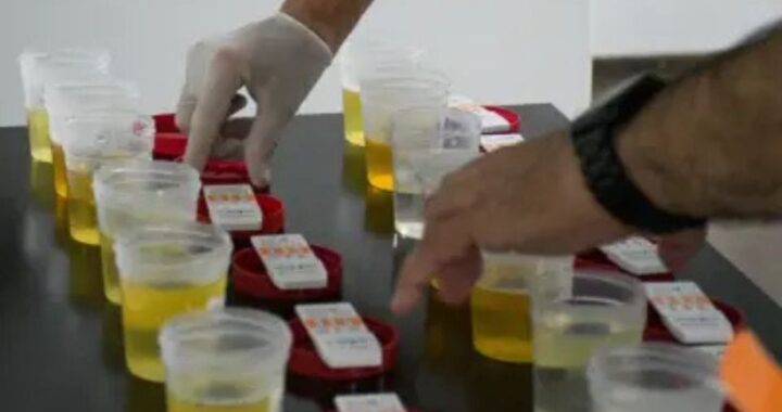 Misiones implementará exámenes toxicológicos obligatorios para funcionarios y fuerzas de seguridad