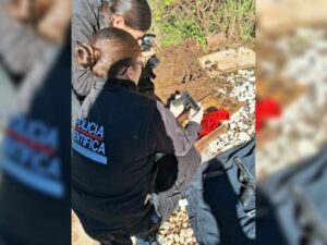 Secuestraron armas y municiones en una vivienda tras el allanamiento por una disputa familiar