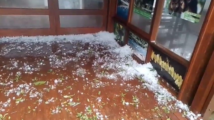 Temporal con granizo y caída de árboles complicó el acceso al Parque Moconá en El Soberbio