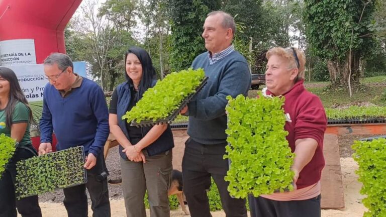 Eldorado entregó 25.000 plantines