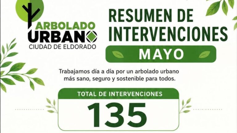 Eldorado fortalece el mantenimiento del arbolado urbano