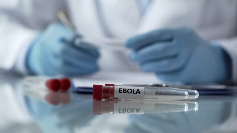 Investigan en Brasil un caso sospechoso de ébola en un hombre que regresó de Uganda