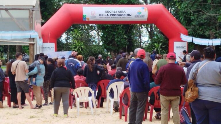 Más de 25 mil plantines fueron entregados a productores, escuelas y adultos mayores de Eldorado