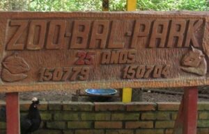 Propietario del Zoo Bal Park de Montecarlo negó las acusaciones por maltrato animal