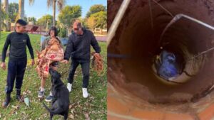 Rescataron a una perrita que cayó a un pozo de más de 20 metros en Eldorado