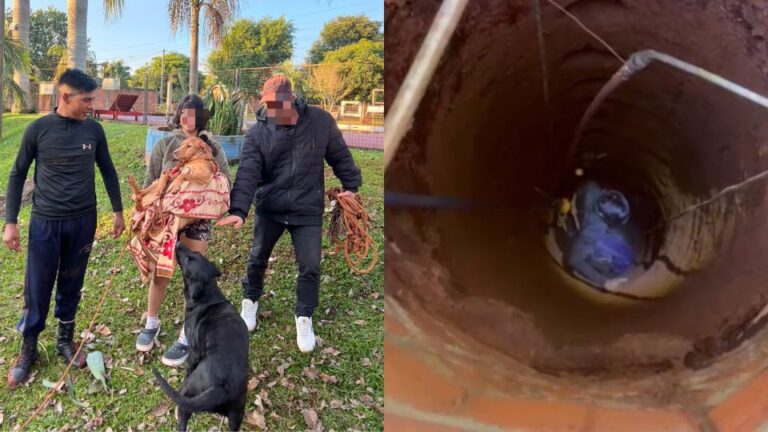 Rescataron a una perrita que cayó a un pozo de más de 20 metros en Eldorado