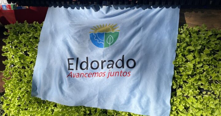 nuevos proyectos desde el Mercado Concentrador de Eldorado