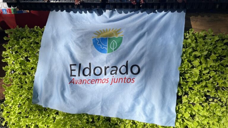 nuevos proyectos desde el Mercado Concentrador de Eldorado