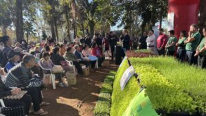 Eldorado entregó más de 14 mil plantines y capacitó a familias