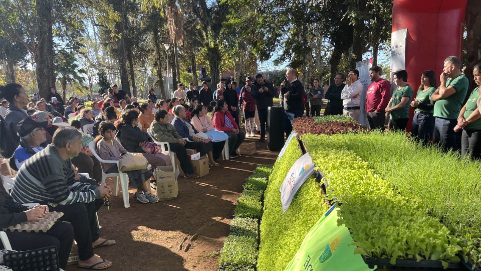 Eldorado entregó más de 14 mil plantines y capacitó a familias