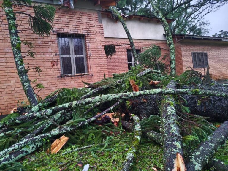 Fuerte temporal causó destrozos en la localidad de San edro