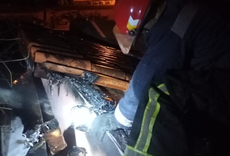 Una salamandra provocó un principio de incendio en una vivienda de Guaraní