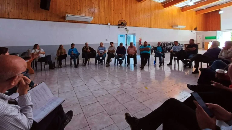 La zafra tealera 2026-2027 tendrá un precio garantía de $110 por kilo de hoja en Misiones