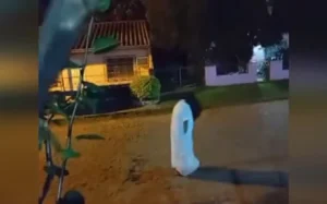 Misterio de mujeres de blanco que van de noche a un cementerio de Paraguay