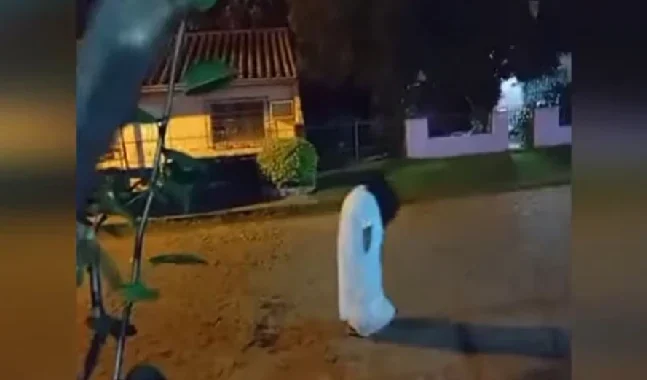 Misterio de mujeres de blanco que van de noche a un cementerio de Paraguay