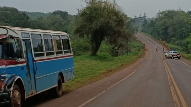 Un hombre fue atropellado por un colectivo en la Ruta 12