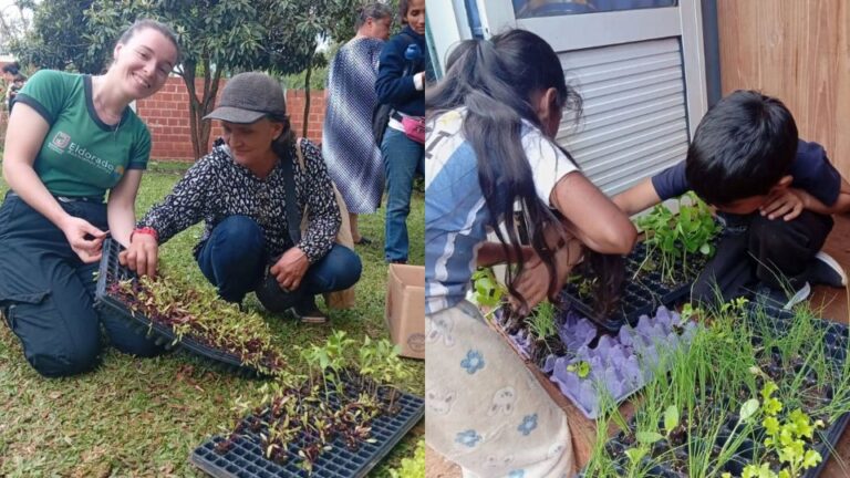 Eldorado entregó 6.480 plantines hortícolas a vecinos del barrio Paticuá