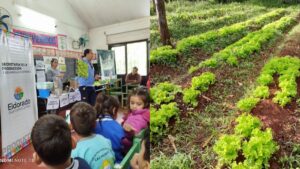 Eldorado sigue fortaleciendo las huertas escolares como parte de una política de desarrollo productivo