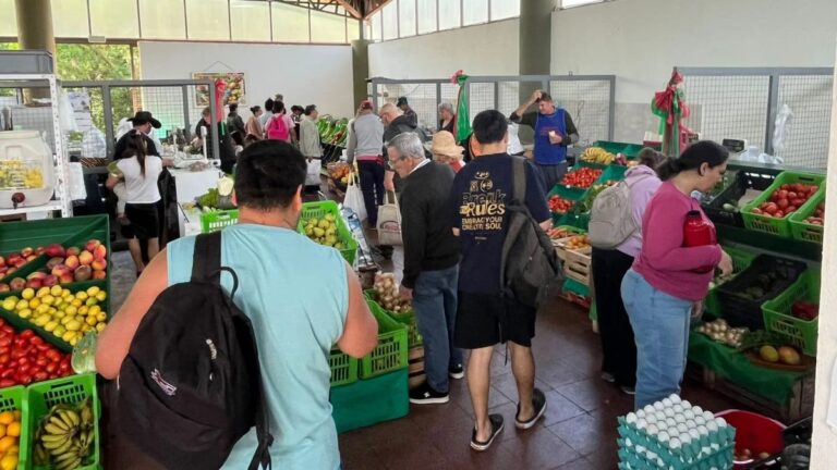 El Mercado Concentrador de Eldorado celebró sus cinco años con más de mil visitantes y una fiesta por el Día de la Madre