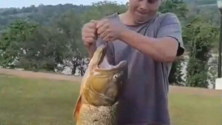 Un pescador capturó un dorado de gran porte en Eldorado